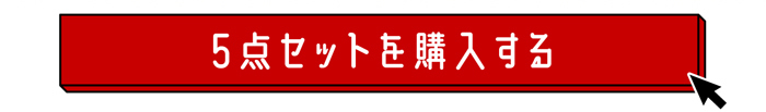 5点セットを購入する
